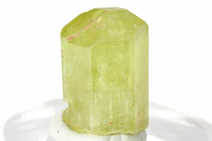 Gemmy Yellow-Green Apatite Crystal - Morocco #276527